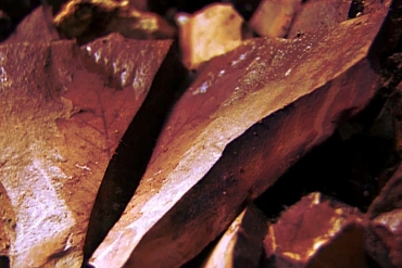 LA RESERVE FOSSILIFERE DE CHIUZBAIA