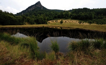 Der Chenddroaia-Sumpf