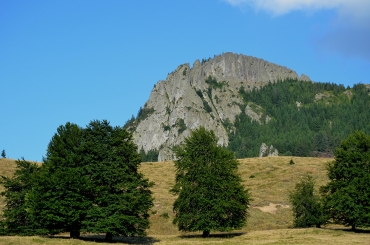 Rezervația geologică Creasta Cocoșului din Munții Gutâi